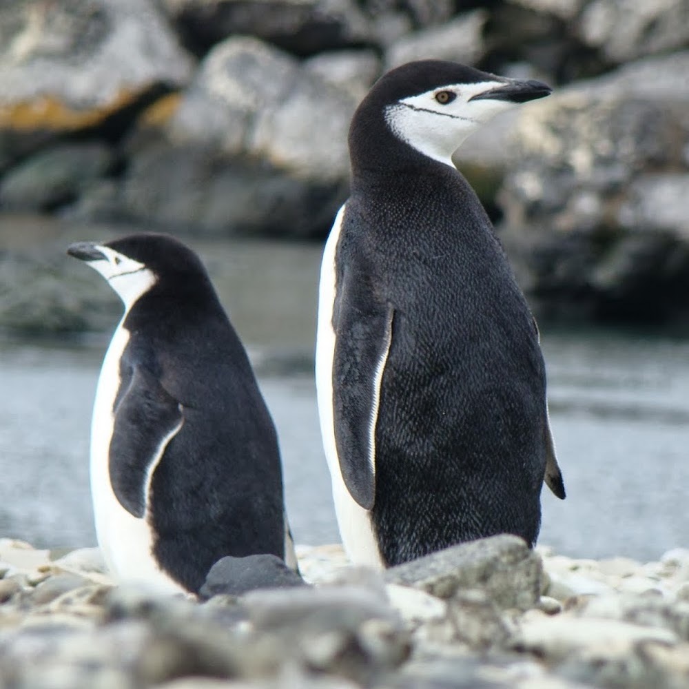 Meet your Posher, Natalia